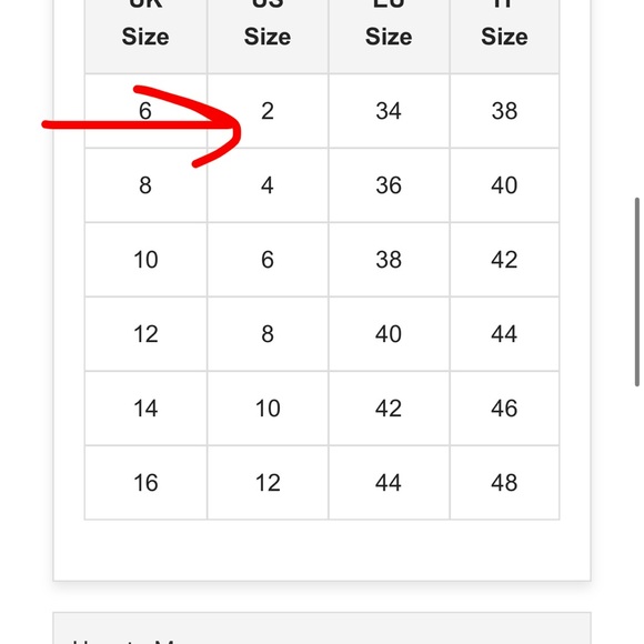 Rare London Pink Rose Devore Lace-Up Midi Dress Formal Wedding Prom Party Sz 2 - Picture 11 of 11